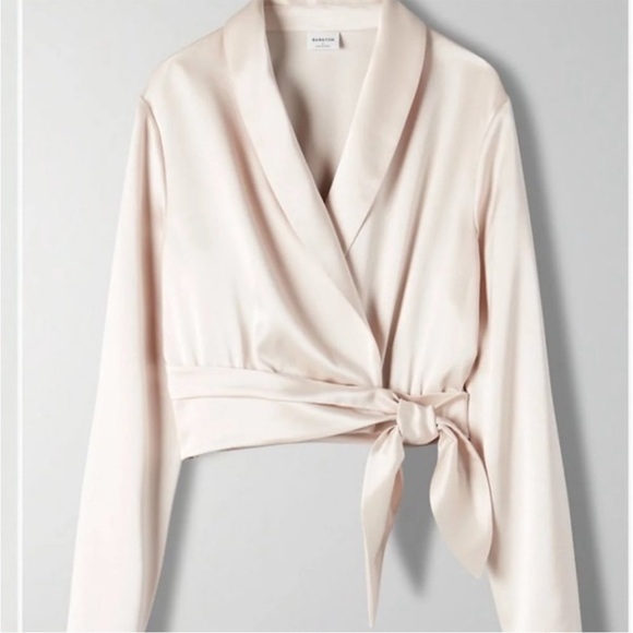 Aritzia Babaton Davis Blouse - Size S - Picture 4 of 10